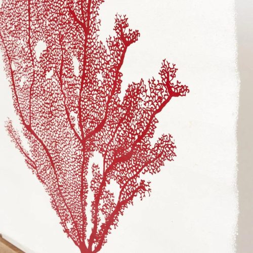 Lámina de tela y madera para colgar con coral