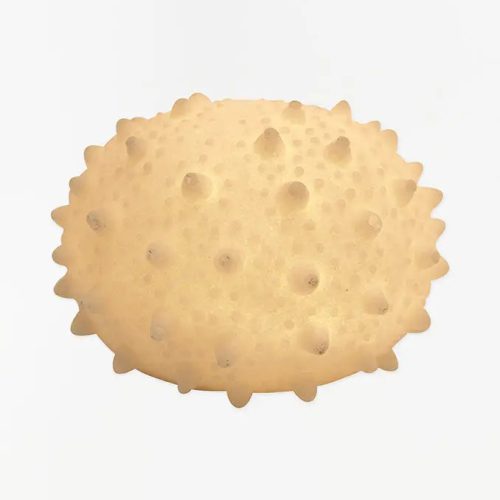 Lámpara erizo de mar a pilas