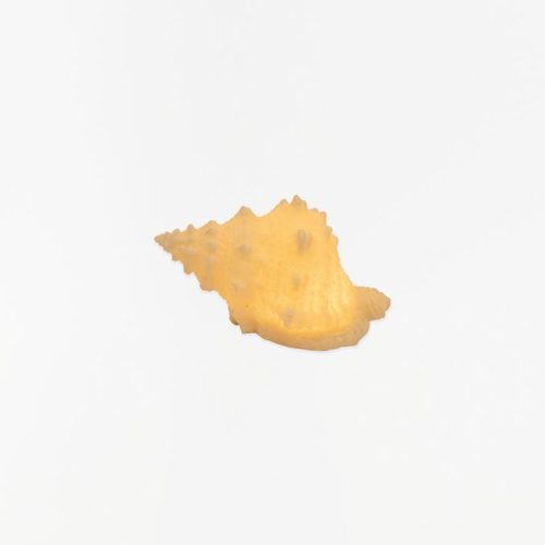 Lámpara concha a pilas