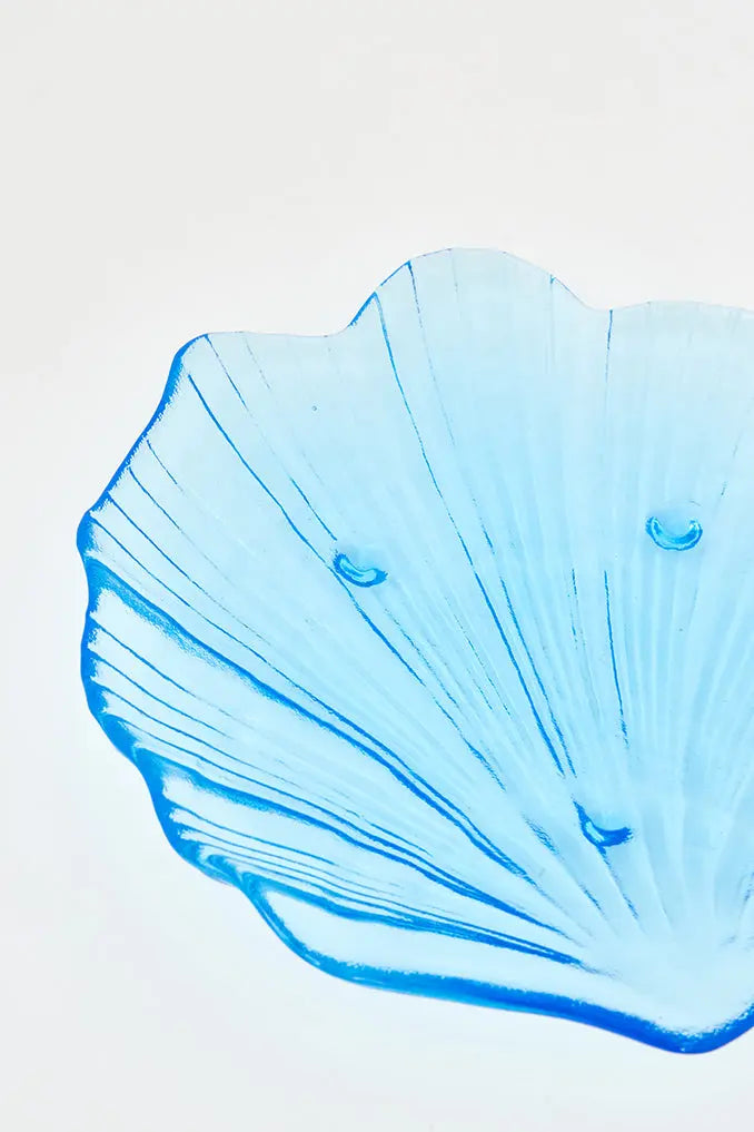 Concha de cristal - Imagen 4