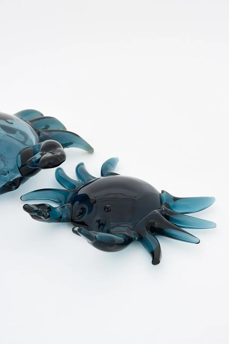 Cangrejo de cristal - Imagen 5