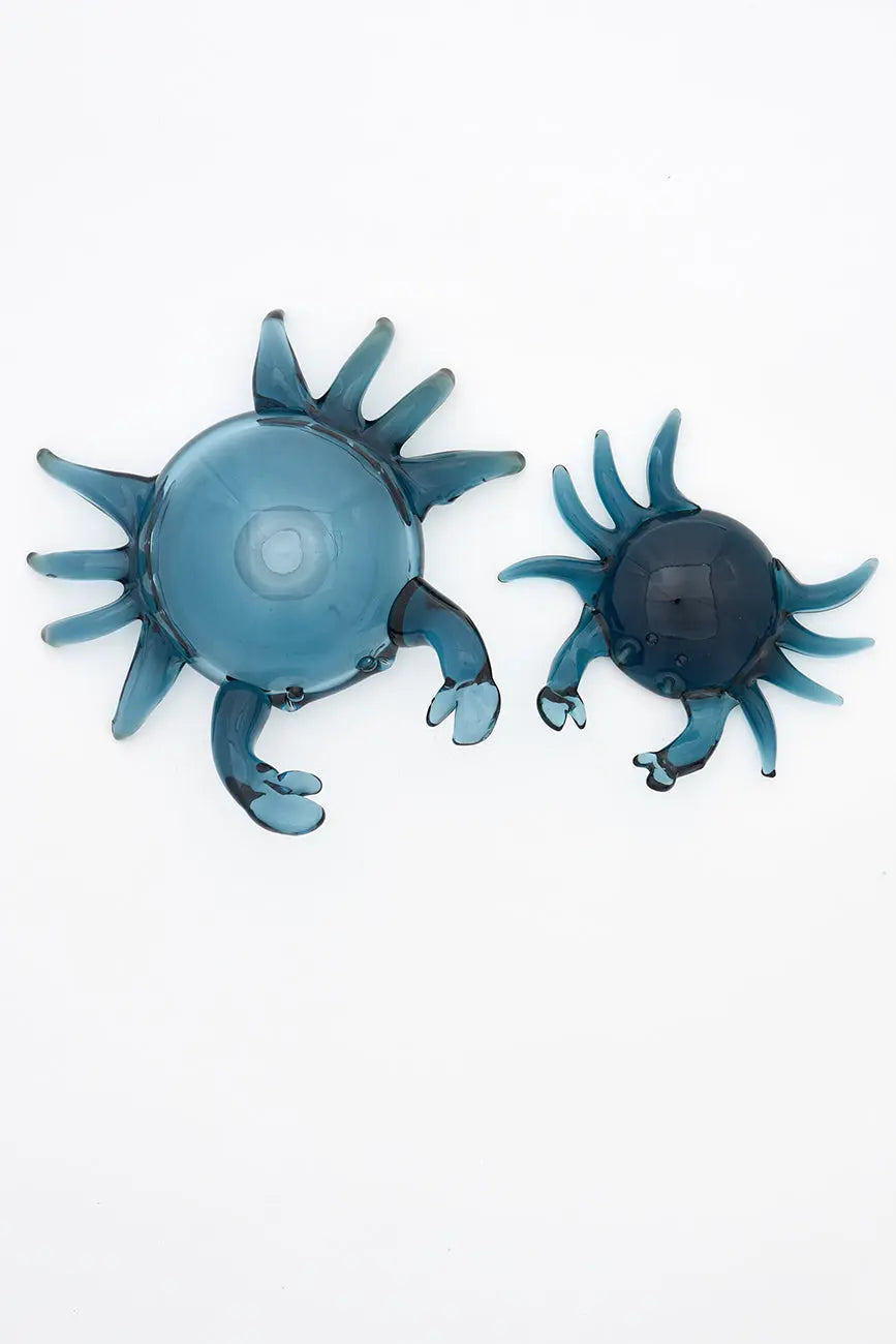 Cangrejo de cristal - Imagen 6