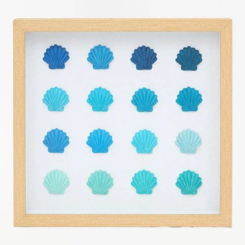 Cuadro conchas
