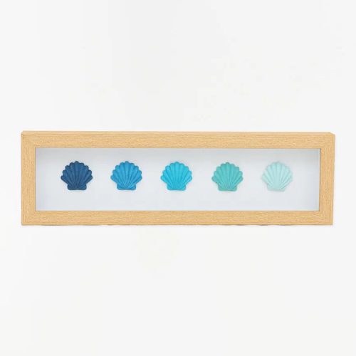 Cuadro conchas, l: 57