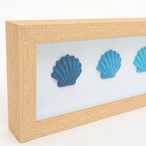 Cuadro conchas, l: 57