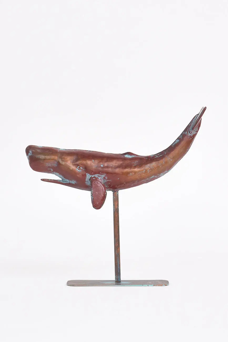 Ballena con base - Imagen 2