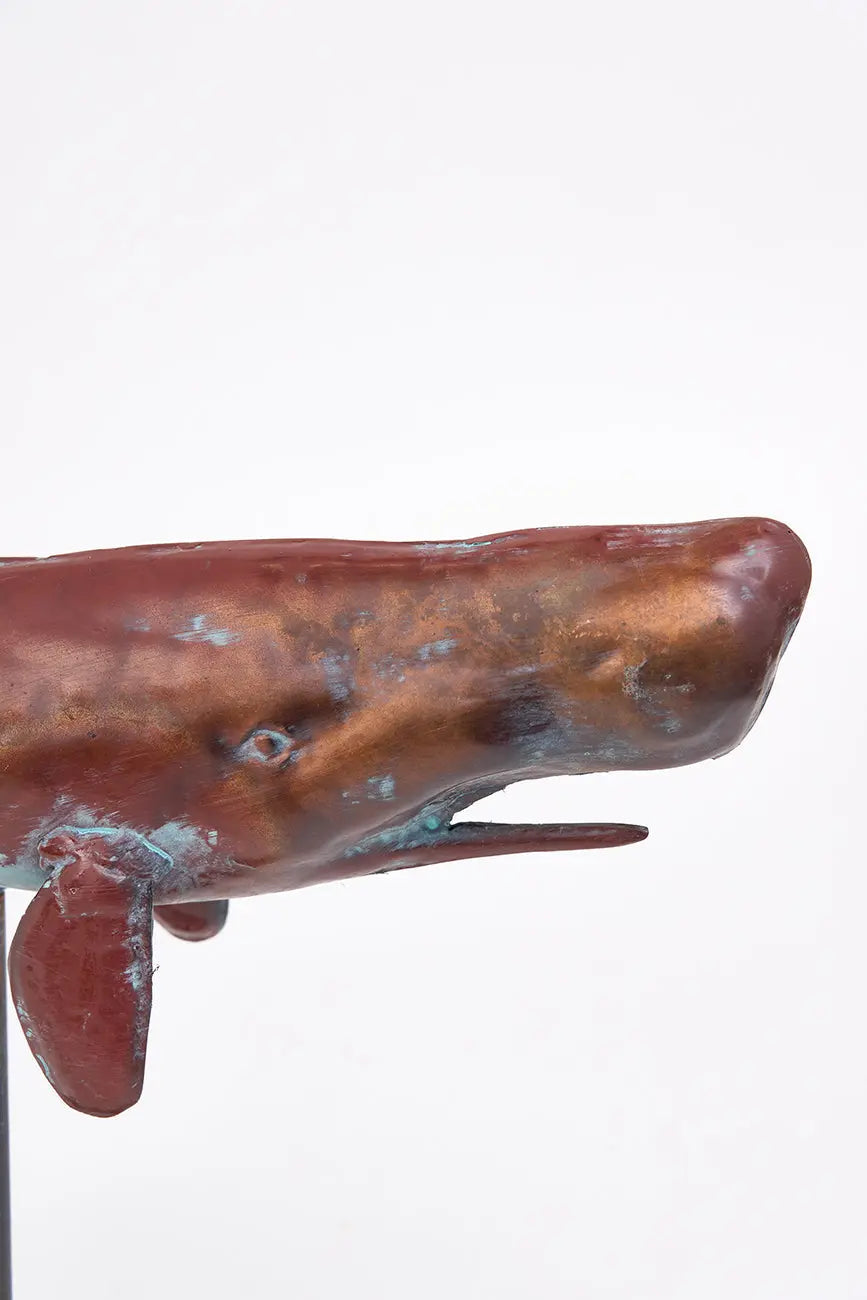 Ballena con base - Imagen 3