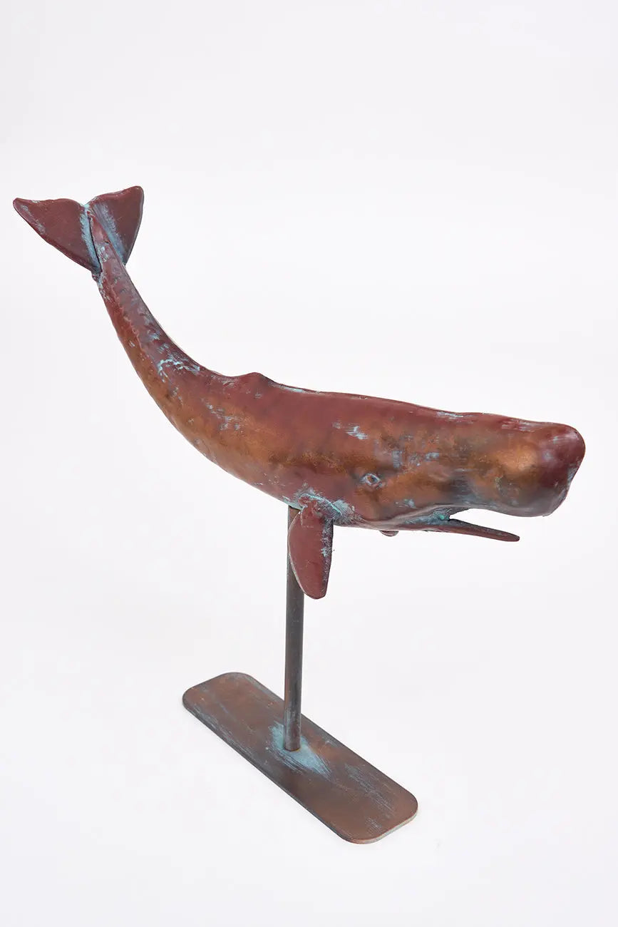 Ballena con base - Imagen 6