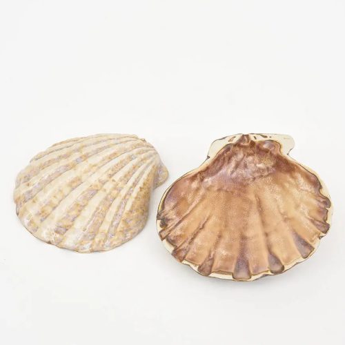 Set de 2 platos concha set 2