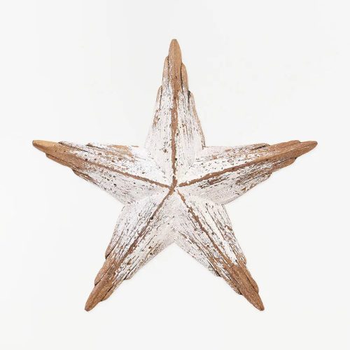 Estrella de mar