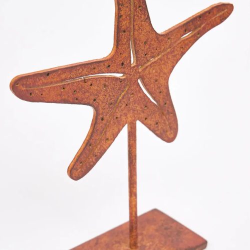Estrella de mar de hierro con base