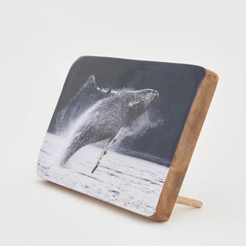 Foto sobre taco de madera ballena