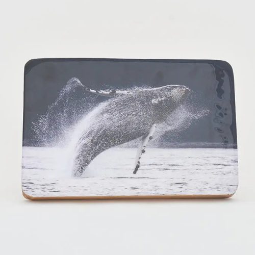 Foto sobre taco de madera ballena