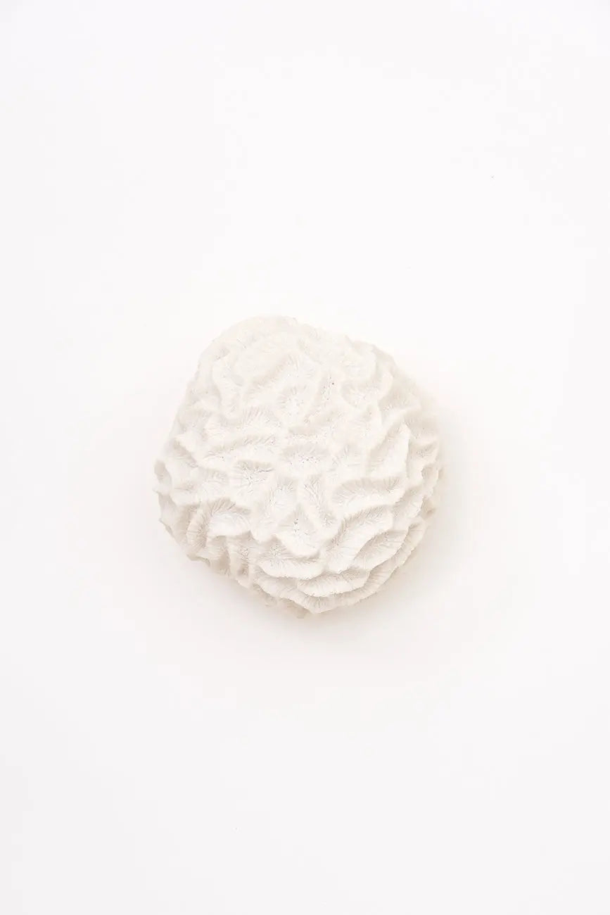 Lámpara coral - Imagen 3