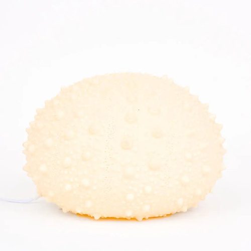 Lámpara erizo de mar