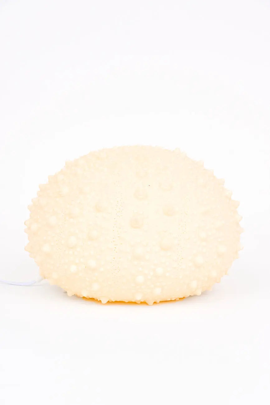 Lámpara erizo de mar - Imagen 2