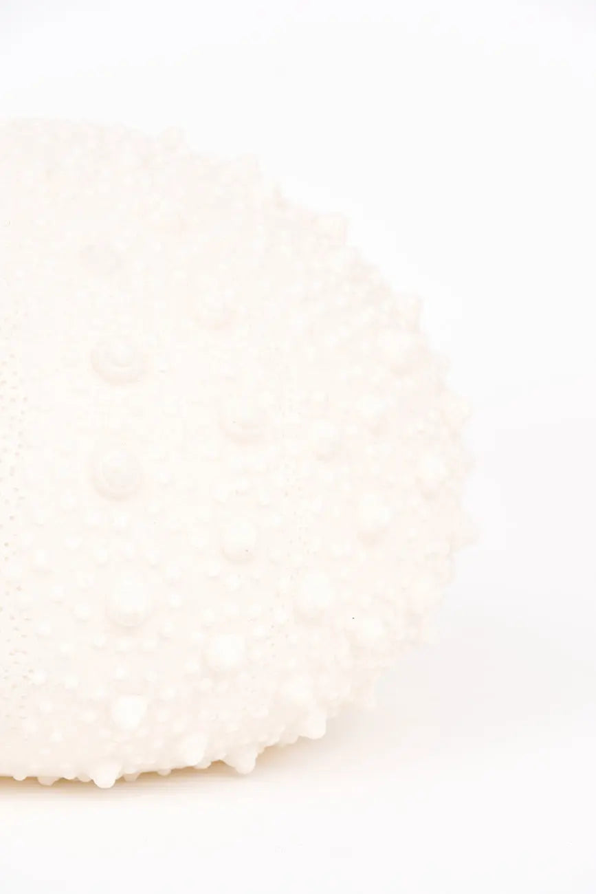 Lámpara erizo de mar - Imagen 3