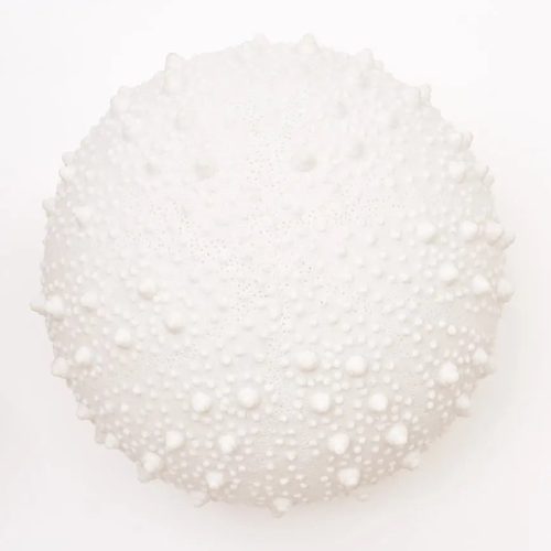 Lámpara erizo de mar