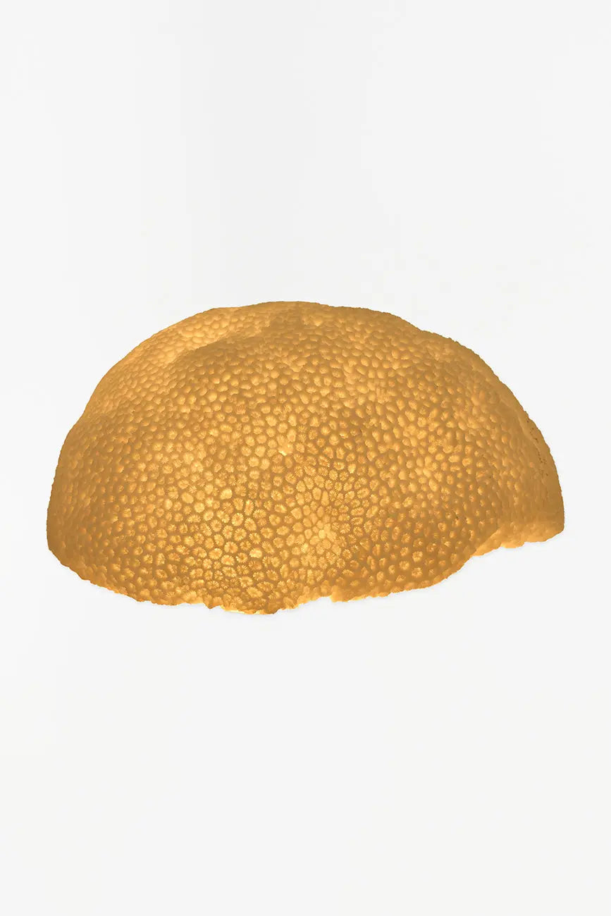 Lámpara coral - Imagen 2