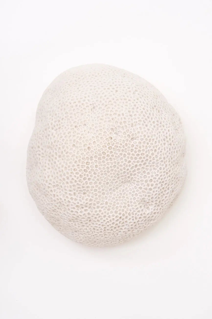 Lámpara coral - Imagen 3