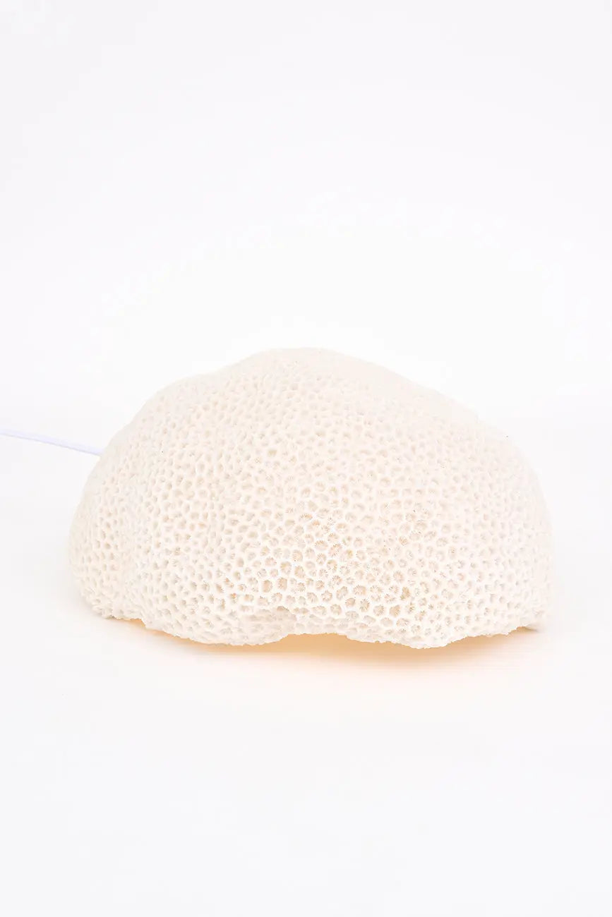 Lámpara coral - Imagen 5