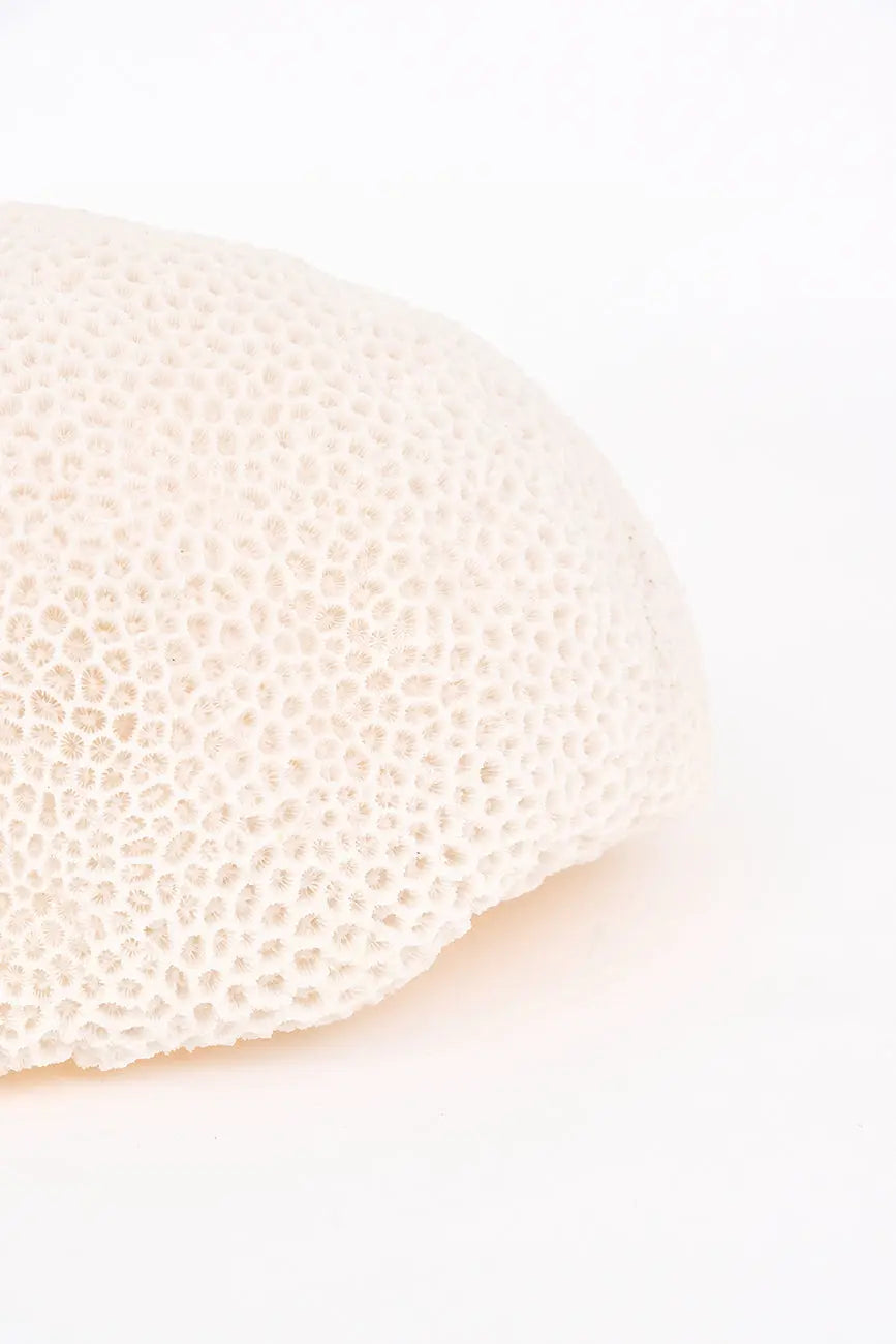 Lámpara coral - Imagen 6