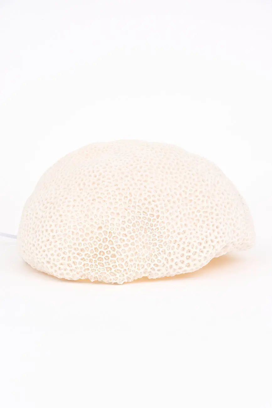 Lámpara coral