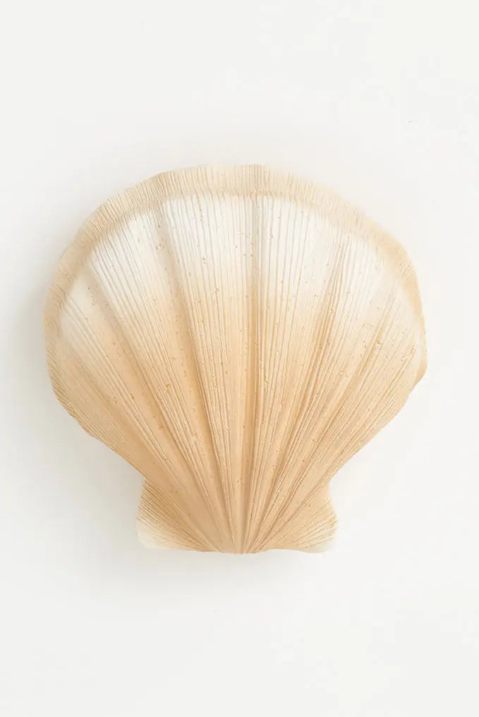 Lámpara vieira - Imagen 3