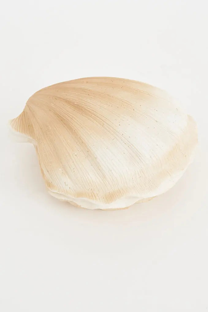 Lámpara vieira - Imagen 4