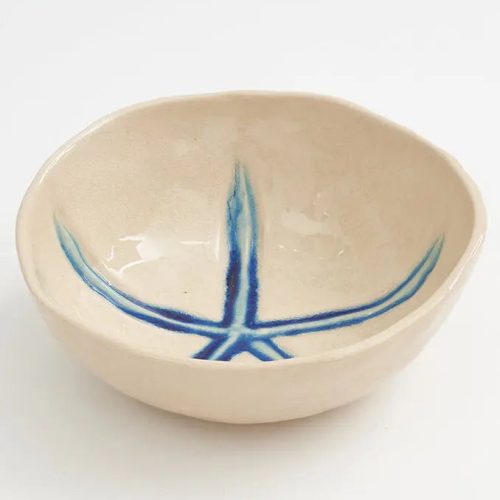 Plato estrella de mar