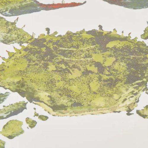 Plato grande cangrejo