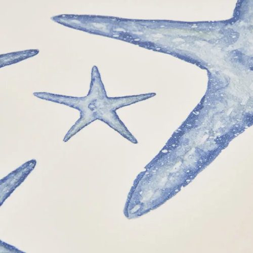 Plato grande estrellas de mar