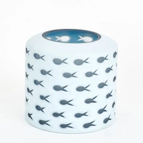 Cuenco de cristal peces