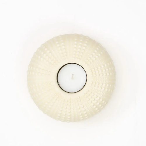 Portavelas erizo de mar