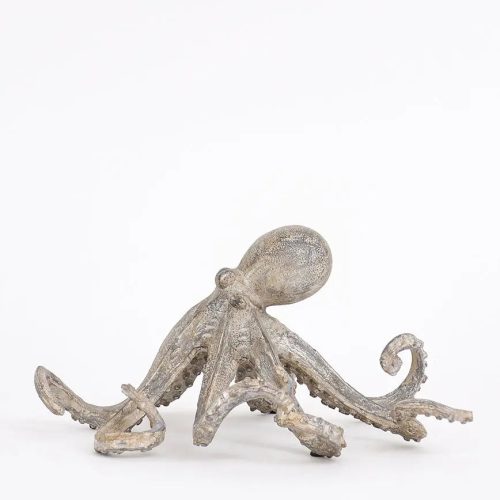 Pulpo