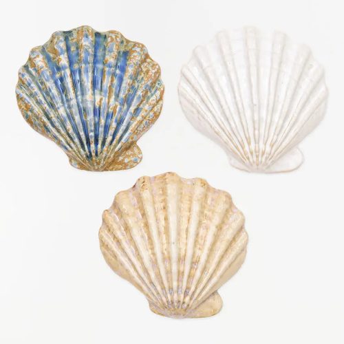 Set de 3 conchas set 3