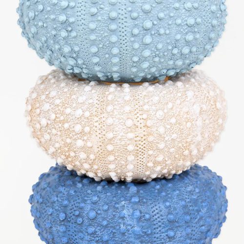 Set de 3 cuencos erizo de mar de resina set 3