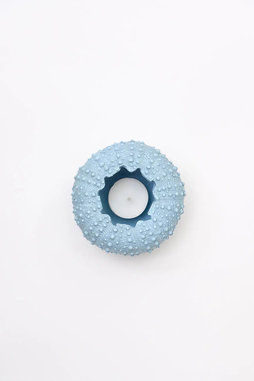 Set de 3 cuencos erizo de mar de resina set 3 - Imagen 5