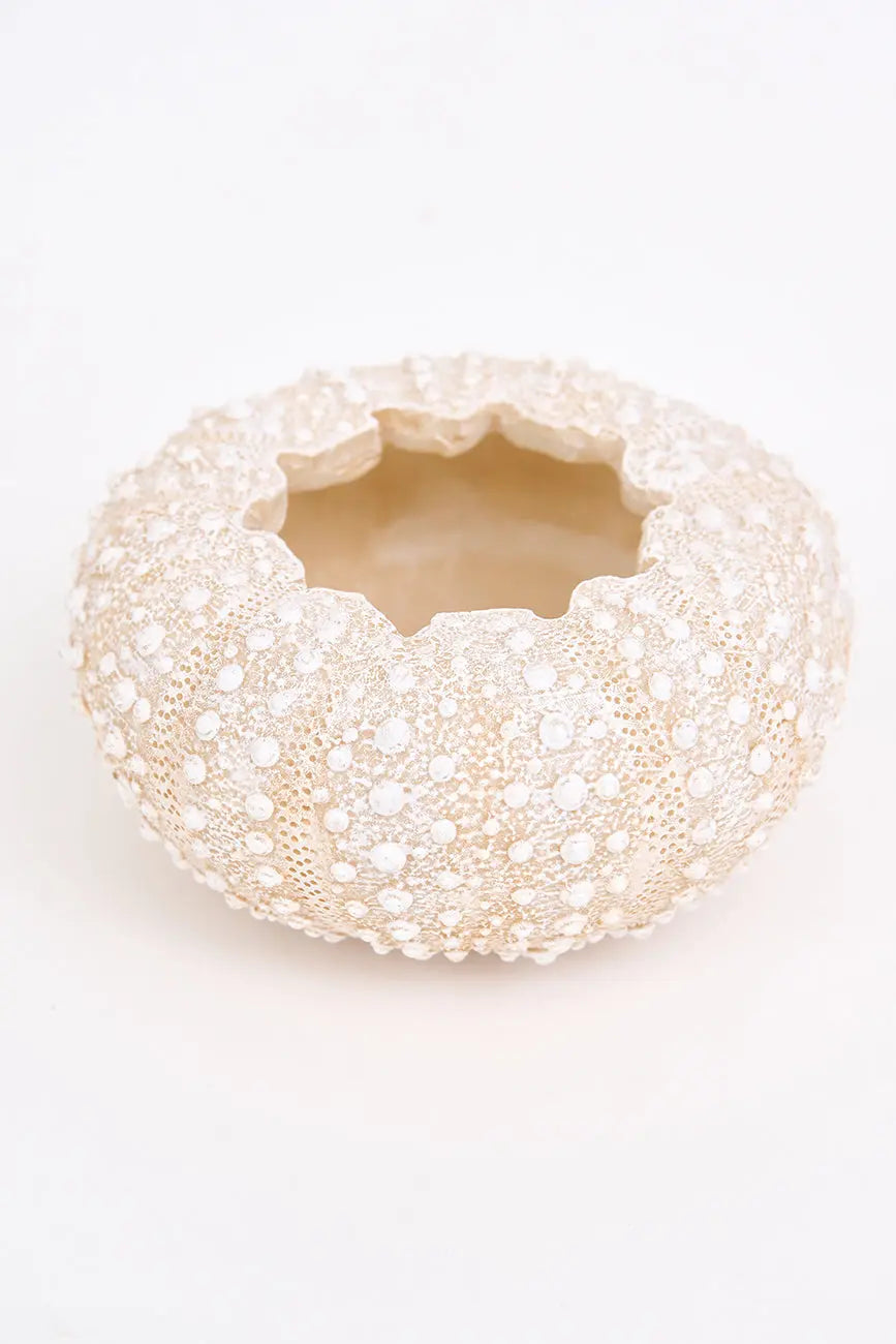 Set de 3 cuencos erizo de mar de resina set 3 - Imagen 6