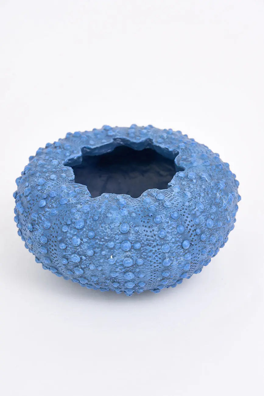 Set de 3 cuencos erizo de mar de resina set 3 - Imagen 7