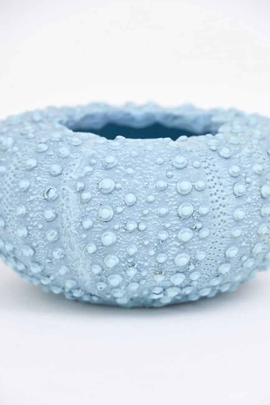 Set de 3 cuencos erizo de mar de resina set 3 - Imagen 10