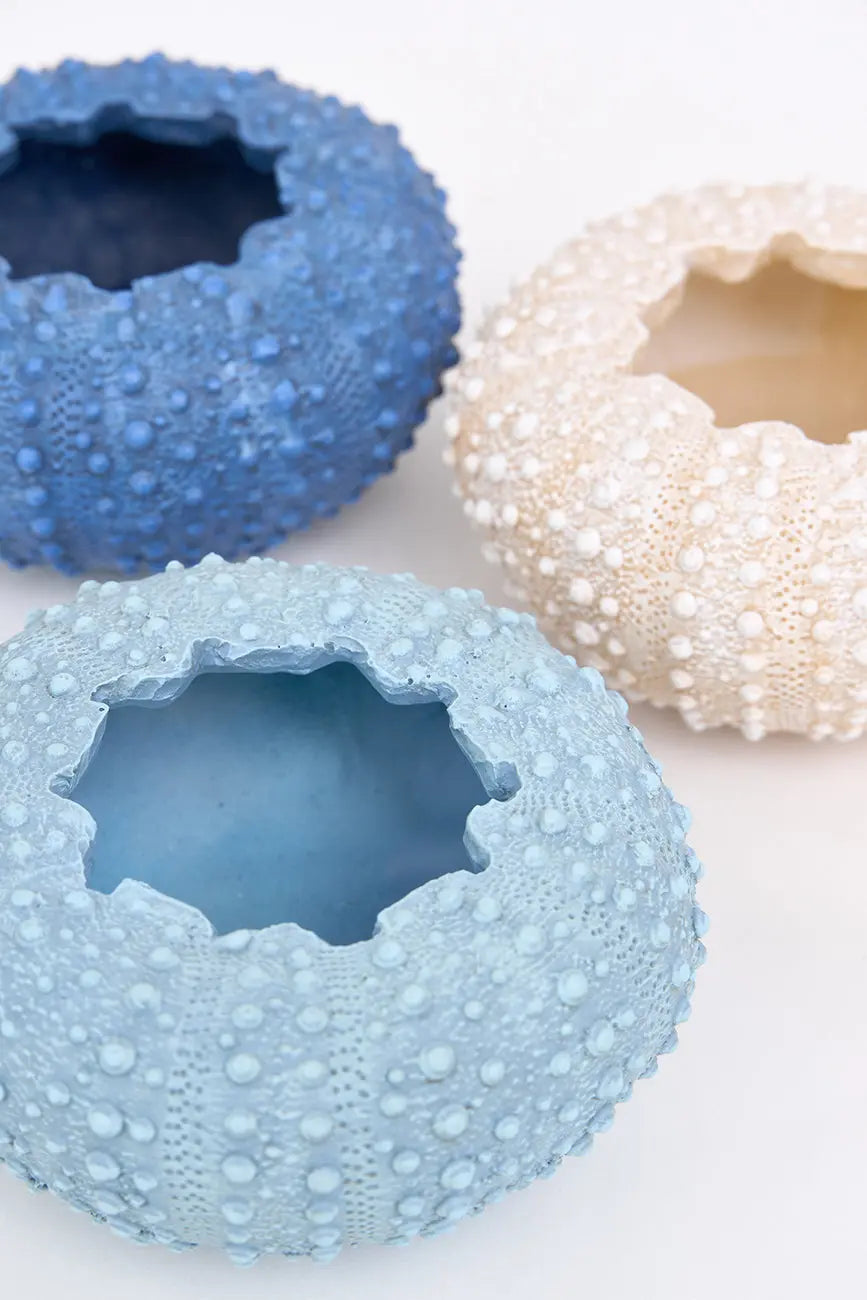 Set de 3 cuencos erizo de mar de resina set 3