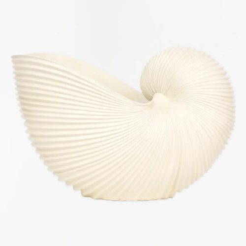 Tiesto caracola de resina