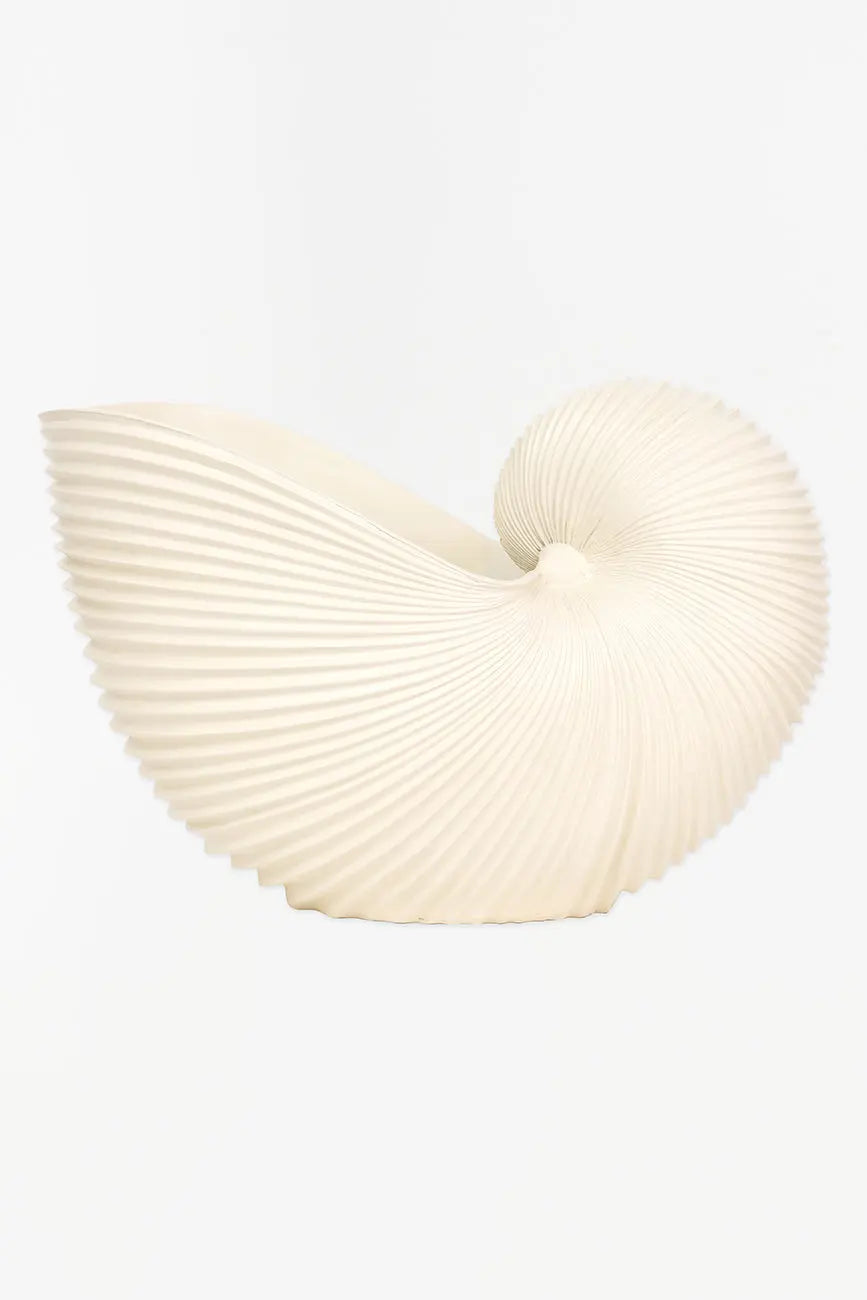 Tiesto caracola de resina - Imagen 2