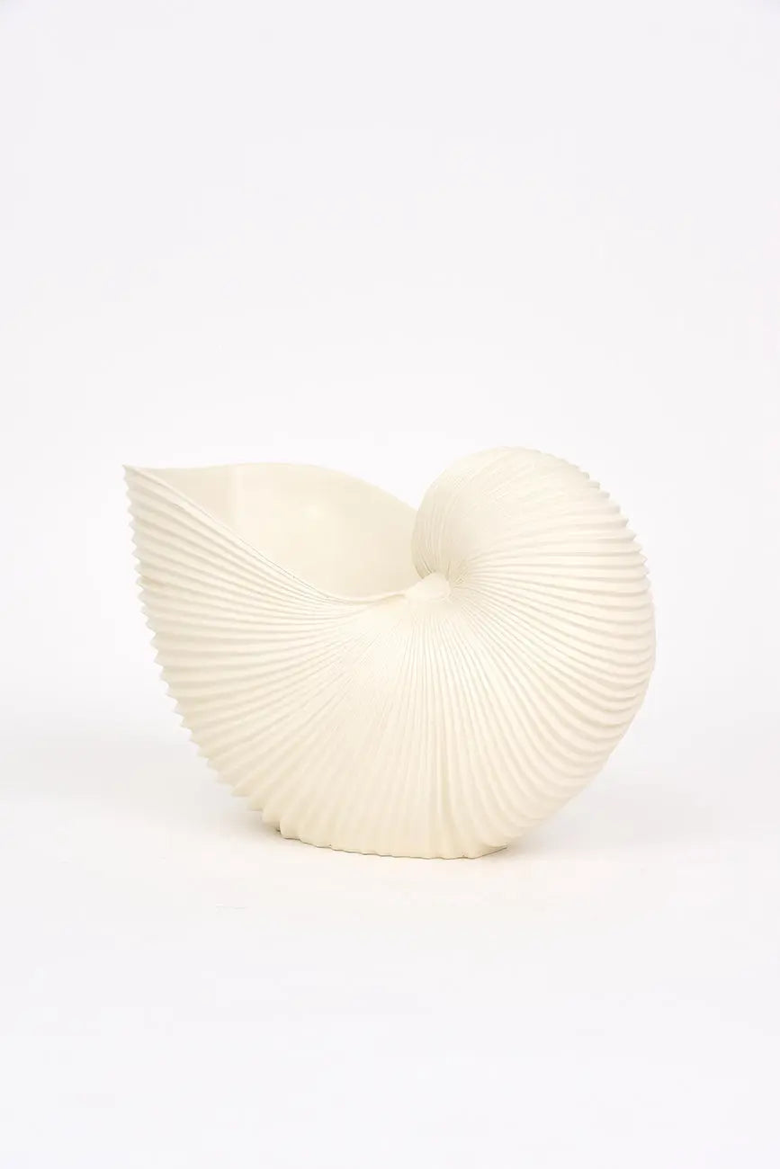 Tiesto caracola de resina - Imagen 3