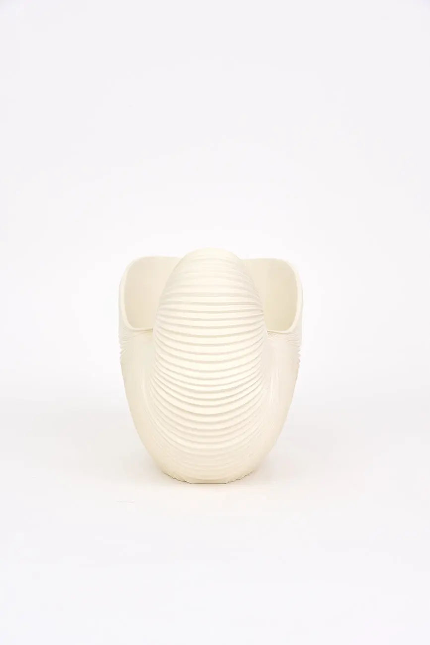 Tiesto caracola de resina - Imagen 4