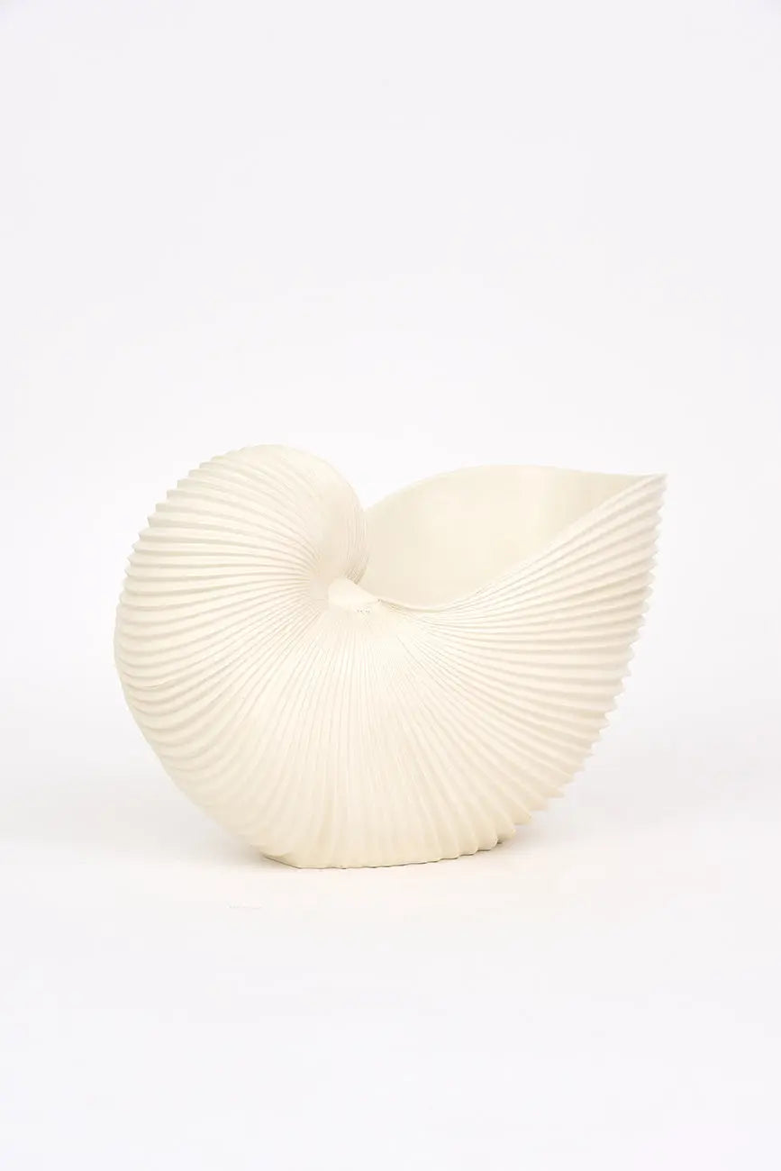 Tiesto caracola de resina - Imagen 5