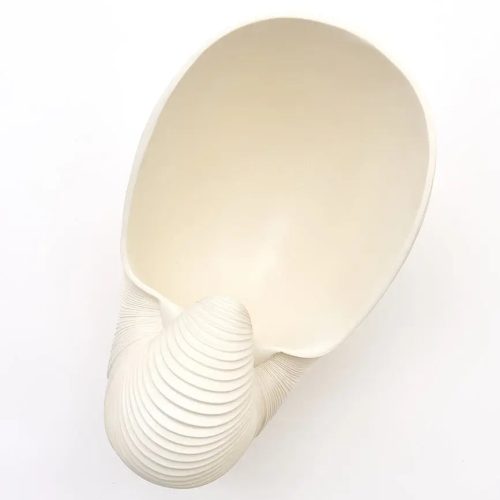 Tiesto caracola de resina