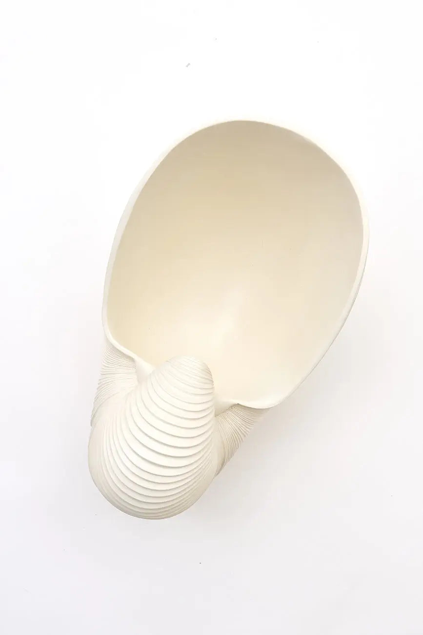 Tiesto caracola de resina