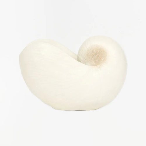 Tiesto caracola de resina